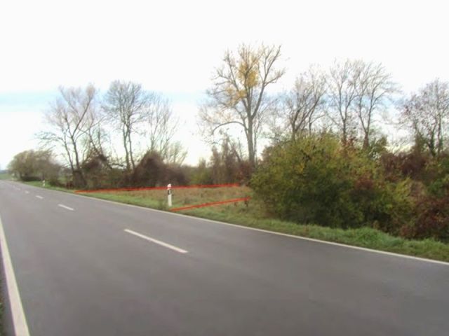 Blick Richtung Verkaufsfläche und auf die Umgebung - Vertragsfreie Grünlandfläche mit Gehölzbewuchs im Randbereich 