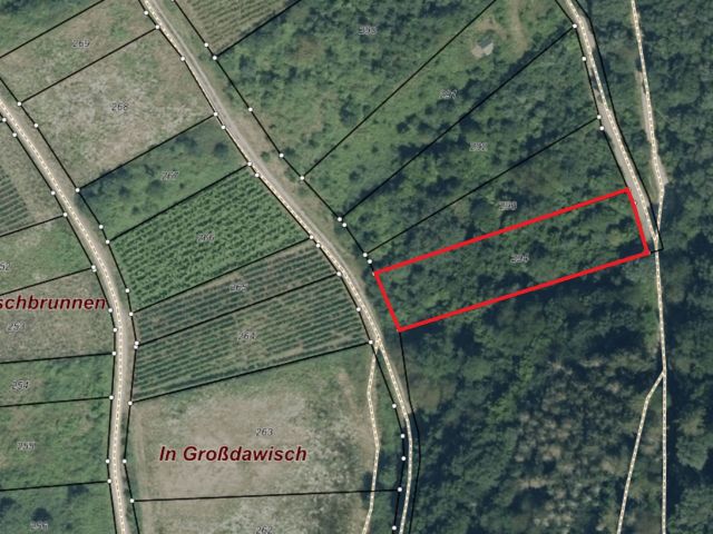 Lageskizze mit Luftbildunterlegung - Vertragsfreie Waldfläche oberhalb der Mosel **in der Weinbaugemeinde Zell**