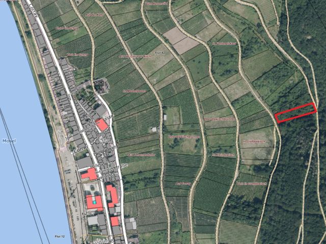Lageskizze mit Umgebung und Luftbildunterlegung - Vertragsfreie Waldfläche oberhalb der Mosel **in der Weinbaugemeinde Zell**