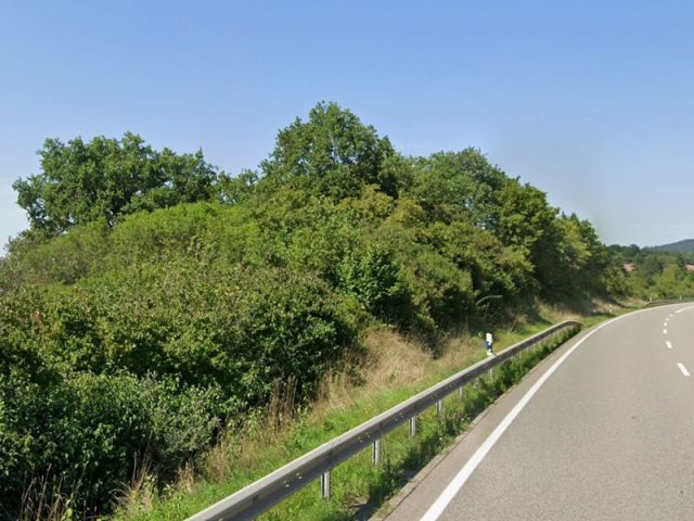 Blick auf Verkaufsgegenstand und Umgebung - Naturbelassene Gehölzfläche an der B48