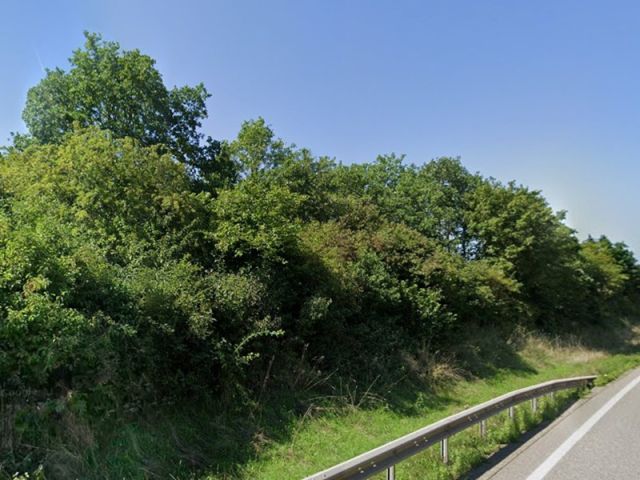 Blick auf Verkaufsgegenstand und Umgebung - Naturbelassene Gehölzfläche an der B48