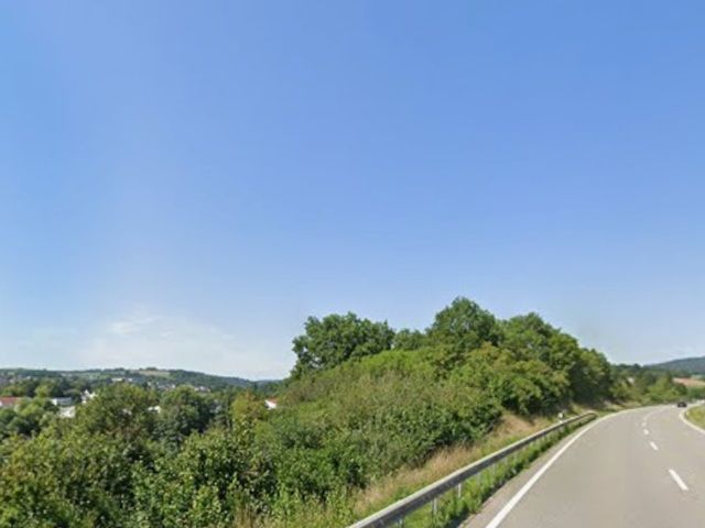Blick auf Verkaufsgegenstand und Umgebung - Naturbelassene Gehölzfläche an der B48