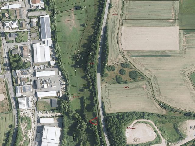 Umgebungsskizze - Grünlandfläche mit Gehölzbewuchs in Winnweiler