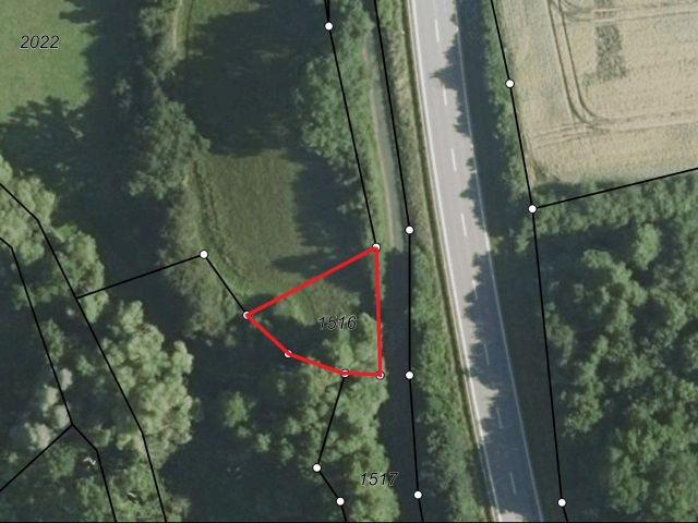 Lageskizze - Grünlandfläche mit Gehölzbewuchs in Winnweiler