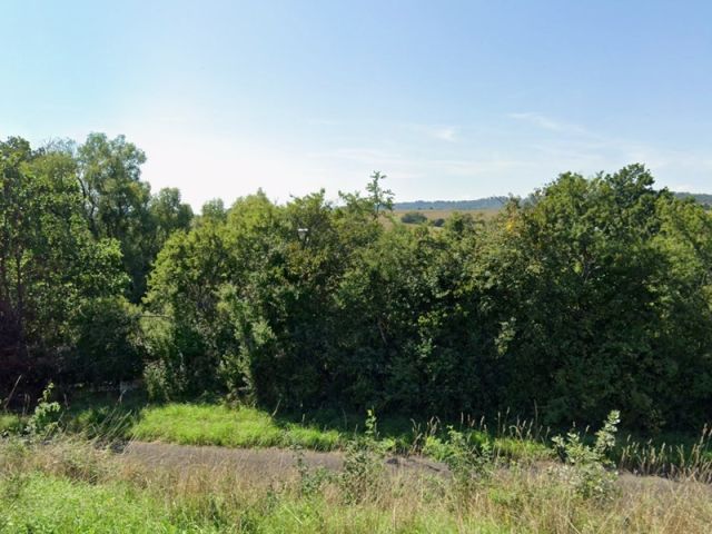 Blick Richtung Verkaufsfläche und auf die Umgebung - Grünlandfläche mit Gehölzbewuchs in Winnweiler