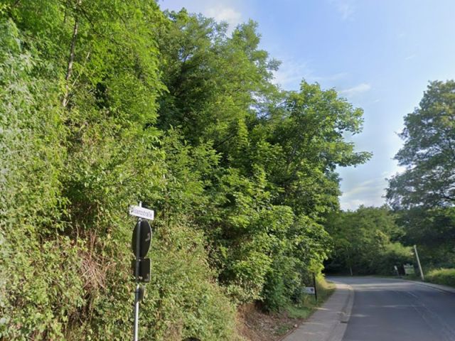 Ansicht Alsenzstraße und Umgebung unterhalb der Verkaufsfläche - Vertragsfreie Gehölzfläche in Hanglage in Winnweiler im Nordpfälzer Bergland