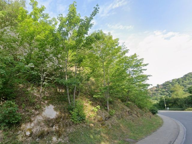 Ansicht Alsenzstraße und Umgebung unterhalb der Verkaufsfläche - Kleine vertragsfreie Gehölzfläche in Hanglage in Winnweiler im Nordpfälzer Bergland 