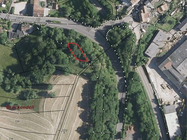 Umgebungsskizze - Kleine vertragsfreie Gehölzfläche in Hanglage in Winnweiler im Nordpfälzer Bergland 
