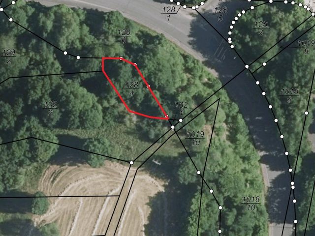 Lageskizze - Kleine vertragsfreie Gehölzfläche in Hanglage in Winnweiler im Nordpfälzer Bergland 