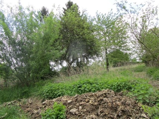 Blick auf Flurstück 58/16 und Umgebung - Vertragsfreie Grünflächen hinter Wohnhäusern (ehemals Kleingärten) am Ortsrand von Stößen