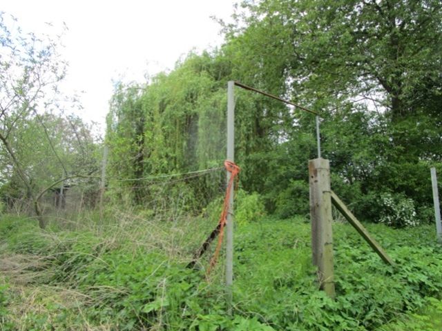 Blick auf Flurstück 58/17 (Zaunreste) und Umgebung - Vertragsfreie Grünflächen hinter Wohnhäusern (ehemals Kleingärten) am Ortsrand von Stößen