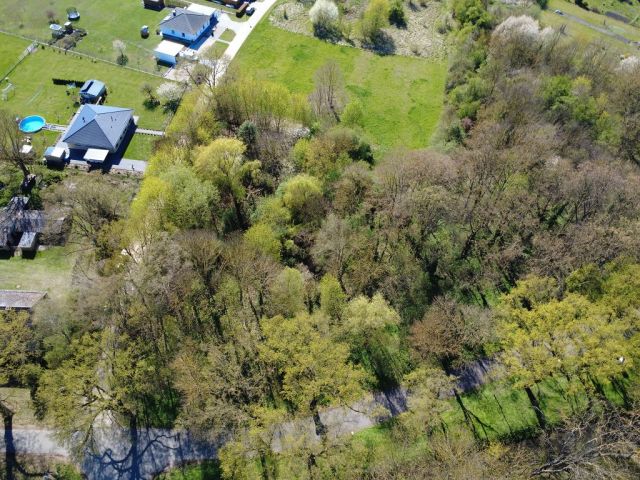 Blick auf Verkaufsfläche und Umgebung - Vertragsfreies mit Gehölzen bewachsenes Eckgrundstück gegenüber von Wohnbebauung im Landkreis Märkisch-Oderland