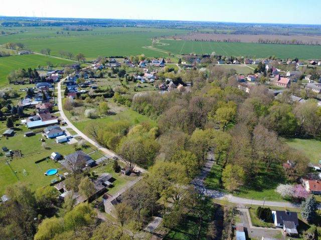 Blick Richtung Verkaufsfläche und die Umgebung - Vertragsfreies mit Gehölzen bewachsenes Eckgrundstück gegenüber von Wohnbebauung im Landkreis Märkisch-Oderland