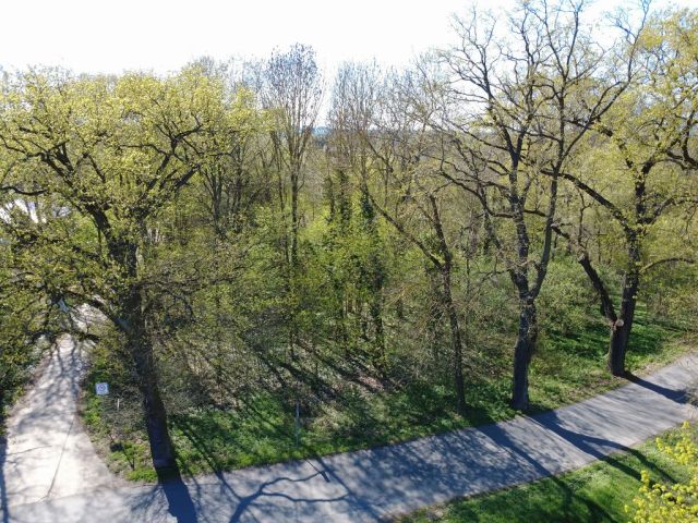 Blick auf Verkaufsfläche und Umgebung - Vertragsfreies mit Gehölzen bewachsenes Eckgrundstück gegenüber von Wohnbebauung im Landkreis Märkisch-Oderland