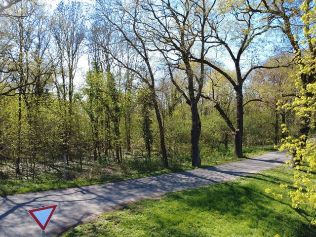 Blick auf Verkaufsfläche und Umgebung - Vertragsfreies mit Gehölzen bewachsenes Eckgrundstück gegenüber von Wohnbebauung im Landkreis Märkisch-Oderland