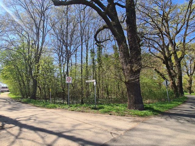 Blick auf Verkaufsfläche und Umgebung - Vertragsfreies mit Gehölzen bewachsenes Eckgrundstück gegenüber von Wohnbebauung im Landkreis Märkisch-Oderland