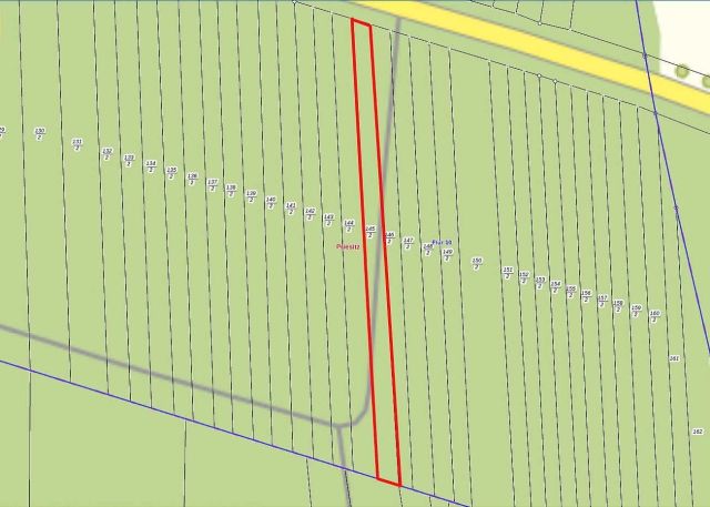 Lageskizze - Kleiner Waldstreifen in der ´Dübener Heide´