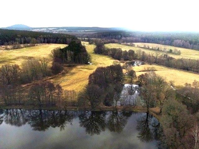 Blick Richtung Verkaufsfläche und auf die Umgebung - Grünland mit Gehölzbewuchs nahe der ´Herrenteiche´ in Langewiesen