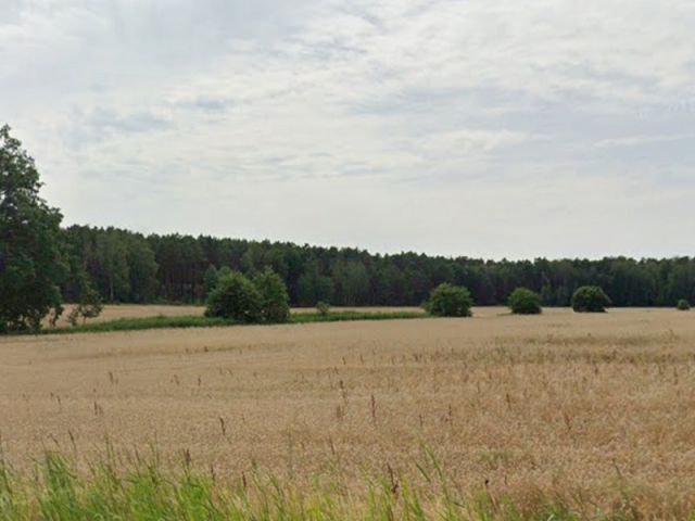 Blick Richtung Verkaufsfläche und auf die Umgebung - Schmaler Landwirtschafts- und Wassergrabenstreifen im Landkreis Dahme-Spreewald