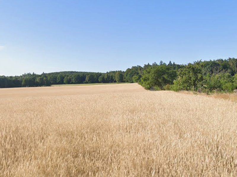 Eine Garten-/Grünfläche und eine Landwirtschaftsfläche ca. 25 km nördlich von Dresden