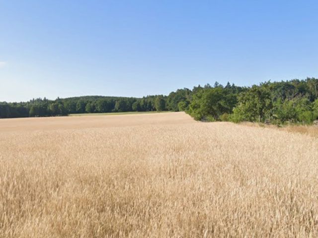 Blick Richtung Flurstück 1043/1 und auf die Umgebung - Eine Garten-/Grünfläche und eine Landwirtschaftsfläche ca. 25 km nördlich von Dresden