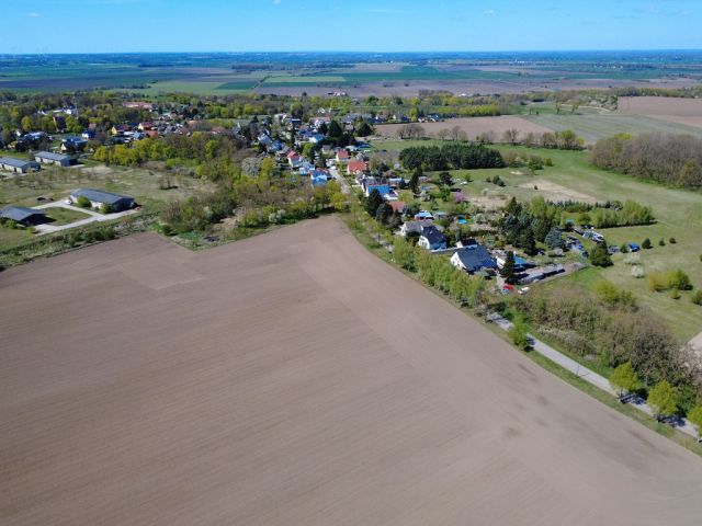Blick Richtung Verkaufsflächen und auf die Umgebung - Große Grünfläche mit Baum- und Strauchbewuchs zwischen Wohngrundstücken und kleine vertragslos genutzte Gartenfläche