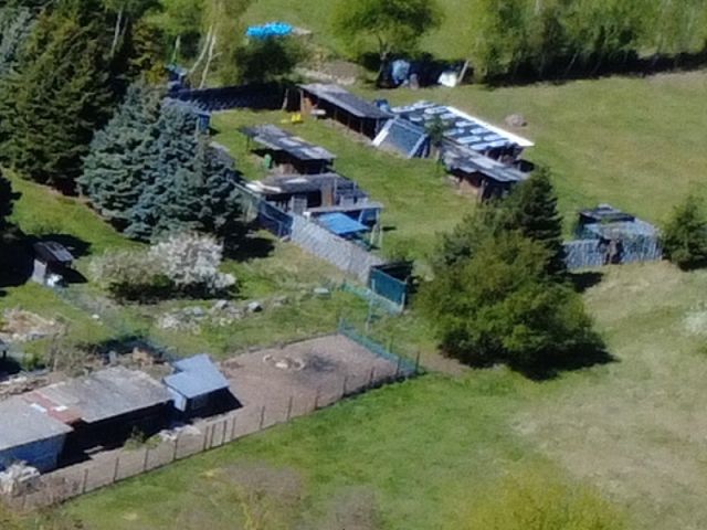 Blick auf Verkaufsflurstück 475 und Umgebung - Große Grünfläche mit Baum- und Strauchbewuchs zwischen Wohngrundstücken und kleine vertragslos genutzte Gartenfläche