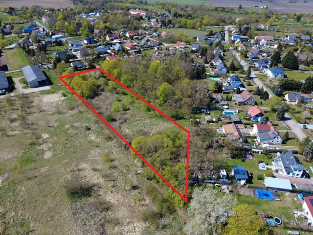 Blick auf Verkaufsflurstücke 173, 174 und 175 und auf die Umgebung - Große Grünfläche mit Baum- und Strauchbewuchs zwischen Wohngrundstücken und kleine vertragslos genutzte Gartenfläche