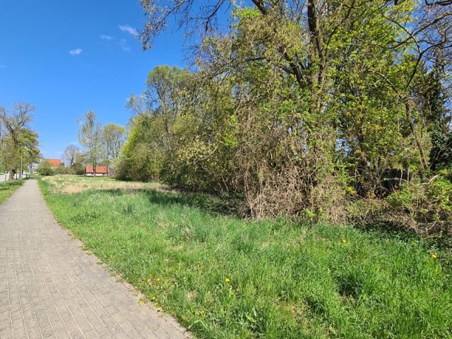 Blick auf Verkaufsfläche und Umgebung - Vertragsfreies Grundstück etwa 10 km von der Stadtgrenze Frankfurt (Oder) entfernt **teilweise Lage im Innenbereich**
