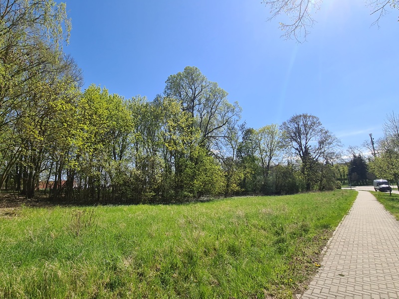 Vertragsfreies Grundstück etwa 10 km von der Stadtgrenze Frankfurt (Oder) entfernt **teilweise Lage im Innenbereich**