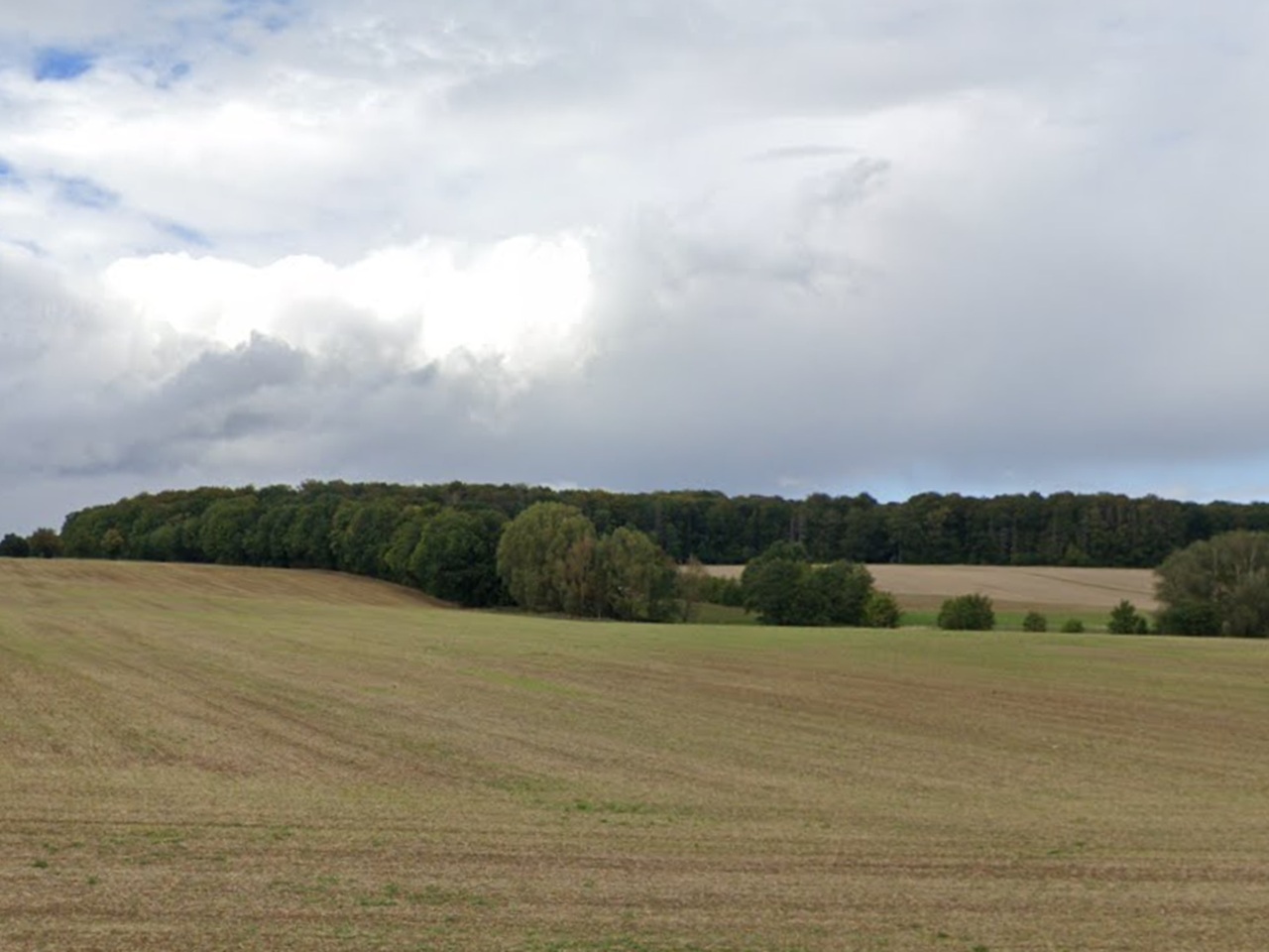 18/181 Miteigentumsanteil an einer Waldfläche mit über 1 Hektar **nahe dem Nationalpark Hainich**