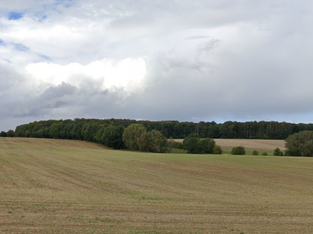 Blick von der L2114 in Richtung Verkaufsfläche und Umgebung - 18/181 Miteigentumsanteil an einer Waldfläche mit über 1 Hektar **nahe dem Nationalpark Hainich**