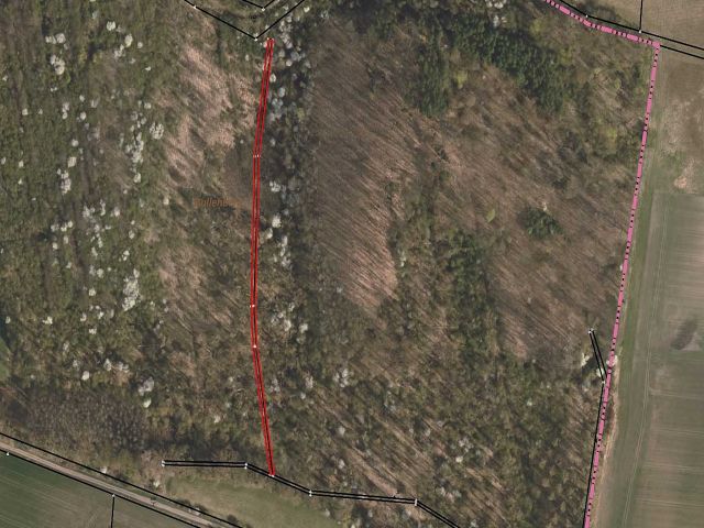 Lageskizze mit Luftbildunterlegung - Wald westlich des See Seehausen im Landkreis Börde