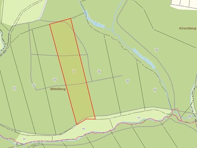 Lageskizze - Über 1 ha Fichten-Waldfläche im Südharz ca. 50 km nordwestlich von Halle (Saale)