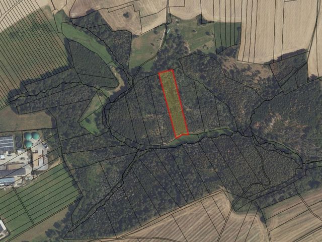 Umgebungsskizze - Über 1 ha Fichten-Waldfläche im Südharz ca. 50 km nordwestlich von Halle (Saale)