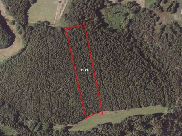 Lageskizze - Über 1 ha Fichten-Waldfläche im Südharz ca. 50 km nordwestlich von Halle (Saale)