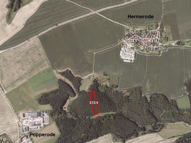 Umgebungsskizze - Über 1 ha Fichten-Waldfläche im Südharz ca. 50 km nordwestlich von Halle (Saale)