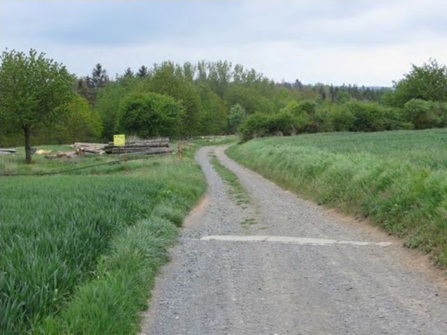 Blick auf die Zufahrt in südliche Richtung zum nördlichen Grundstücksteil - Über 1 ha Fichten-Waldfläche im Südharz ca. 50 km nordwestlich von Halle (Saale)