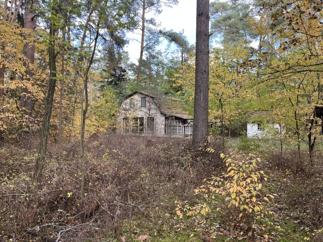 Blick auf das Verkaufsobjekt - Waldfläche mit ehemaligem Bungalow, Schuppen & Unterstand im südwestlichen Berliner Umland **Nachnutzung nicht möglich**