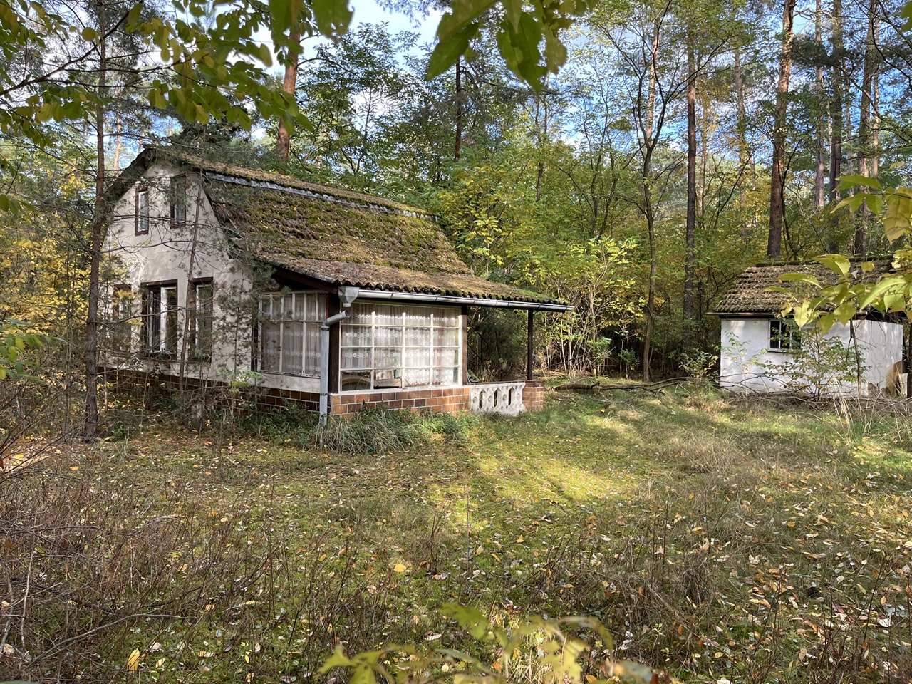 Waldfläche mit ehemaligem Bungalow, Schuppen & Unterstand im südwestlichen Berliner Umland **Nachnutzung nicht möglich**