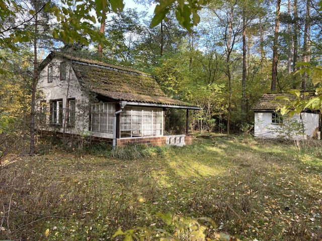 Blick auf das Verkaufsobjekt - Waldfläche mit ehemaligem Bungalow, Schuppen & Unterstand im südwestlichen Berliner Umland **Nachnutzung nicht möglich**