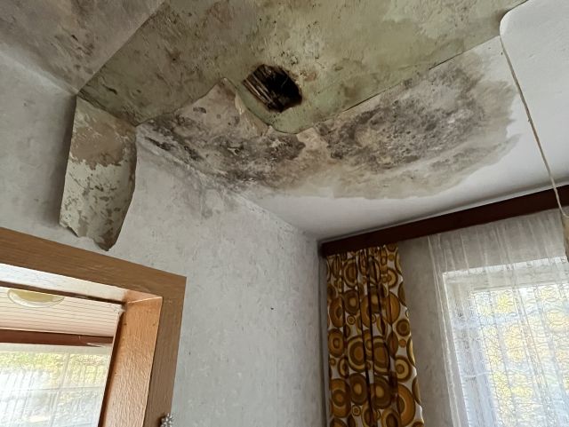Ehemaliger Bungalow - Innenansicht Deckenschäden  - Waldfläche mit ehemaligem Bungalow, Schuppen & Unterstand im südwestlichen Berliner Umland **Nachnutzung nicht möglich**