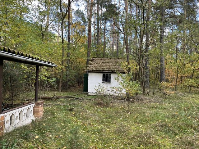 Blick auf den Schuppen - Waldfläche mit ehemaligem Bungalow, Schuppen & Unterstand im südwestlichen Berliner Umland **Nachnutzung nicht möglich**