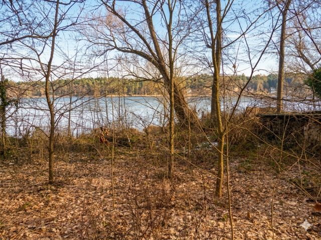Blick auf die Verkaufsfläche und Umgebung - Vertragsfreies Ufergrundstück am Siethener See **etwa 20 km von Berlin entfernt**