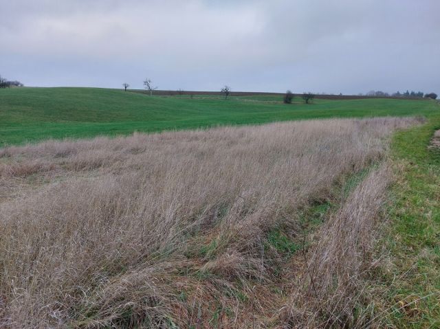 Blick auf Verkaufsflurstück 48 und Umgebung - Zwei Landwirtschaftsflächen im Stadtteil Schadeck zwischen Westerwald und Taunus
