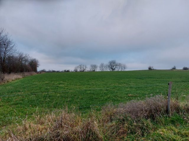 Blick auf Verkaufsflurstück 66 und Umgebung - Zwei Landwirtschaftsflächen im Stadtteil Schadeck zwischen Westerwald und Taunus