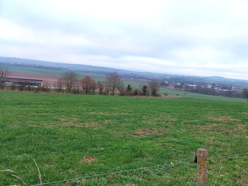 Zwei Landwirtschaftsflächen im Stadtteil Schadeck zwischen Westerwald und Taunus