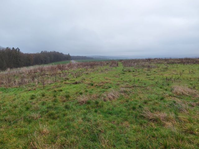 Blick auf Verkaufsfläche und Umgebung - Landwirtschaftsfläche im Stadtteil Schadeck zwischen Westerwald und Taunus