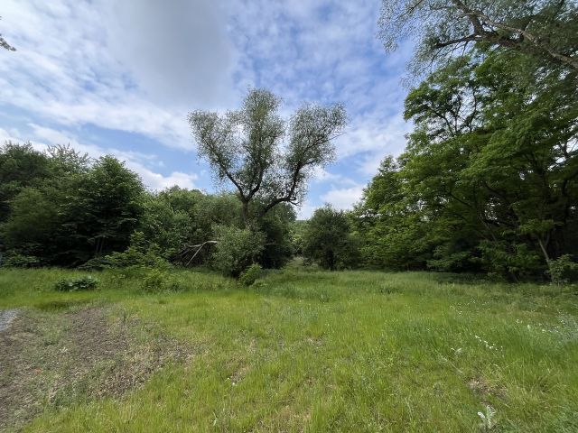 Blick auf die Verkaufsfläche und Umgebung - Vertragsfreies Grundstück (Wald, Grünland und Brachfläche) **zwischen der BAB 12 und der Kleingartenanlage ´Leinengasse´**