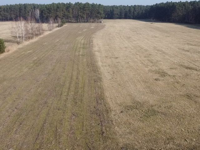Blick auf die Verkaufsfläche und Umgebung - Landwirtschaftsfläche **überwiegend verpachtet** in Märkisch Buchholz - dem Tor zum Spreewald